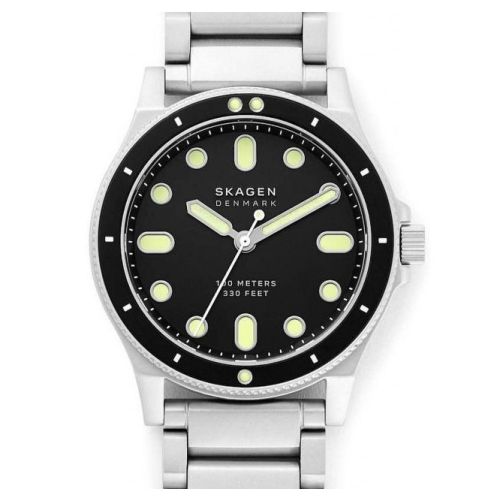Skagen Fisk SKW6666 Watch 